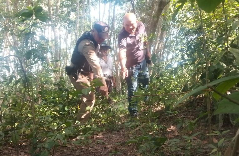 มุกดาหาร ชาวบ้านเก็บใบย่านางไปแกงหน่อไม้ ผงะพบระเบิดลูกเกลี้ยง 2