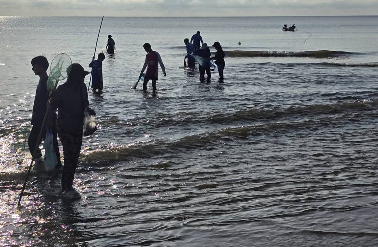 ชาวบ้านนับร้อยแห่จับปลาชายหาดหัวหิน หลังเกิดปรากฏการณ์ “น้ำเบียด” ขายสดกิโลละ 100 บาทเมื่อช่วงเช้าวันที่ 25 ตุลาคม 2569 ที่ชายหาดสวน 19 ไร่ ราชินี อ.หัวหิน จ.ประจวบคีรีขันธ์