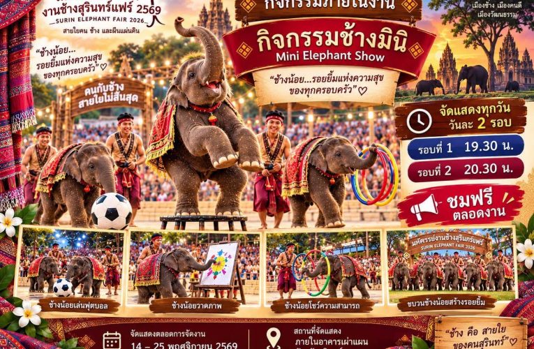 ⭕️🐘 มหัศจรรย์งานช้างสุรินทร์แฟร์ 2569SURIN ELEPHANT FAIR 2026✨ สายใยคน ช้าง และผืนแผ่นดิน ✨