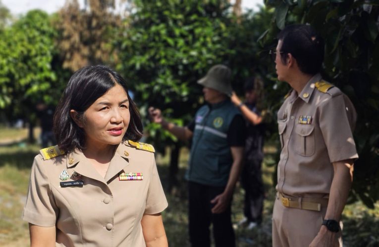เกษตรจังหวัดจันทบุรีลงพื้นที่เยี่ยมสวนทุเรียนเสียหายจากอุทกภัย พร้อมชี้แจงหลักเกณฑ์ช่วยเหลือปี 2569 ทุเรียนเสียหายสิ้นเชิงช่วยไร่ละ 6,800 บาท ส่วนต้นที่ยังฟื้นฟูได้ช่วยไร่ละ 3,400 บาท ตามเงื่อนไขที่กำหนด
