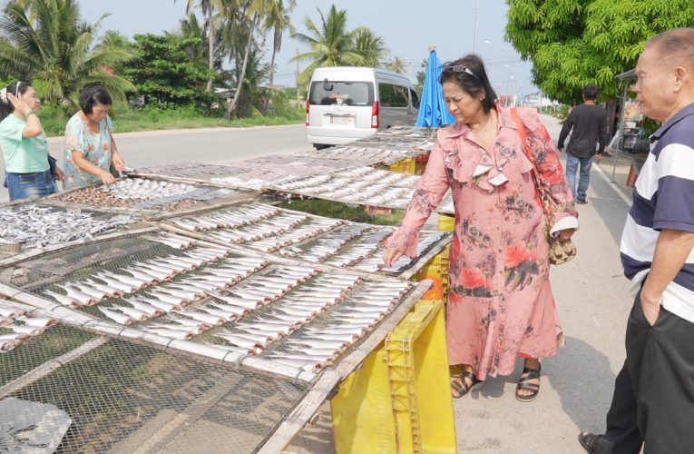 ข่าว กิน-เที่ยวชมวิถีชีวิตชาวประมง จ.เพชรบุรี