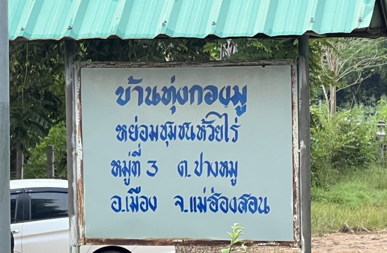 รุกป่าเหี้ยน