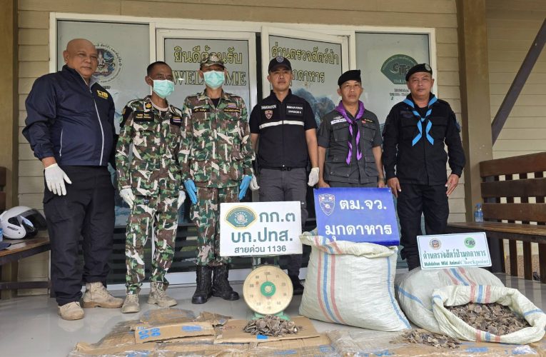 มุกดาหาร ไซเตส ตรวจยึดเกล็ดลิ่น 58 กก ที่บริเวณชานชาลา บขส มุกดาหาร