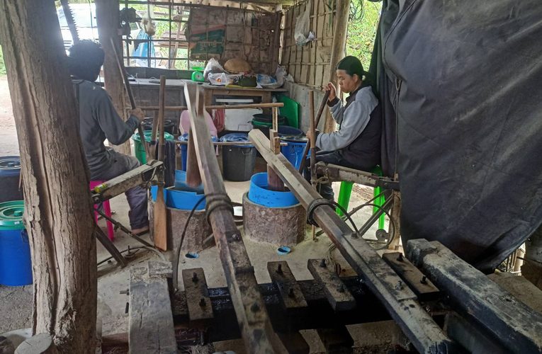 สกลนคร เปิดฤดูกาลผลิตข้าวเม่าแม่นกสูตรโบราณตำใหม่สดทุกวัน
