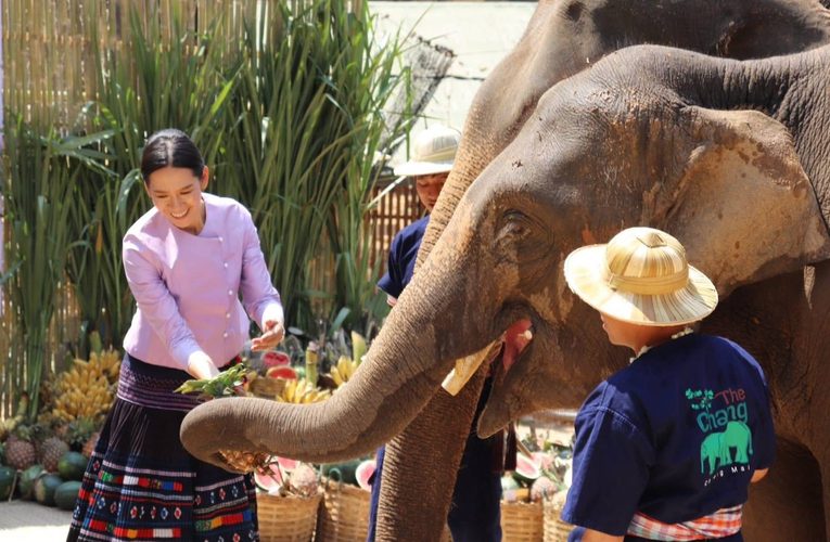 ​50 ปี “ปางช้างแม่สา” จากตำนานการท่องเที่ยวเชียงใหม่ สู่บทใหม่แห่งความยั่งยืนก้าวสู่ปีที่ 51